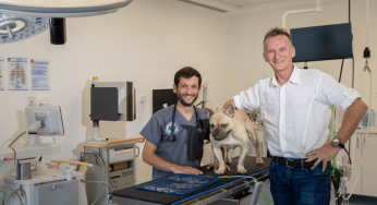 UAE Clinic Offers Life-Saving Open-Heart Surgery for Dogs