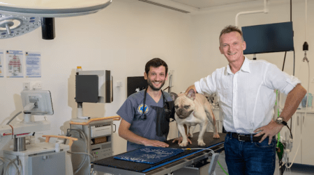 UAE Clinic Offers Life-Saving Open-Heart Surgery for Dogs