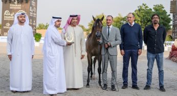 Fujairah Hosts Prestigious 2024 International Arabian Horse Championship