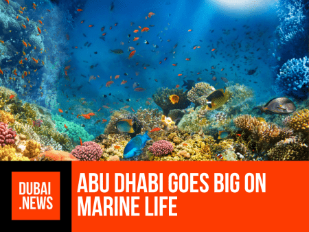 The World’s Richest Seas