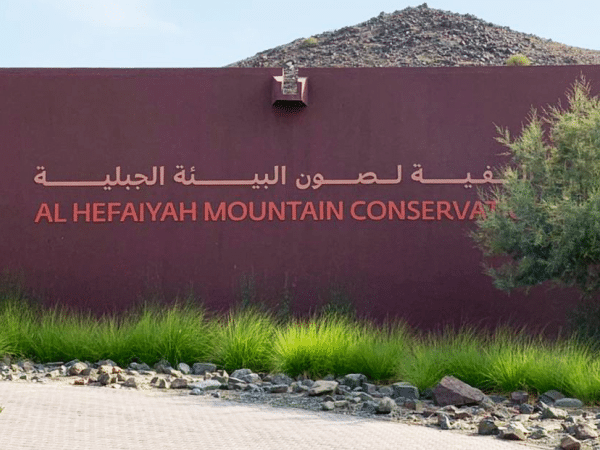 UAE Has This And Hardly Talks About It Al Hefaiyah Mountain