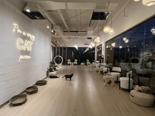 Rainy Day Fun You Can Only Find in Dubai Rainy Day Dubai