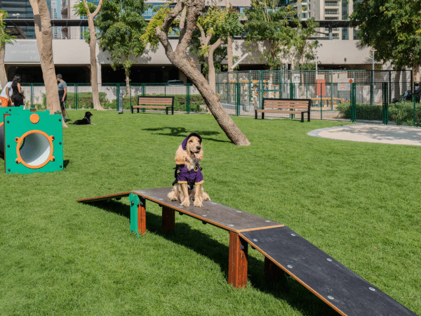 Free JLT Dog Park