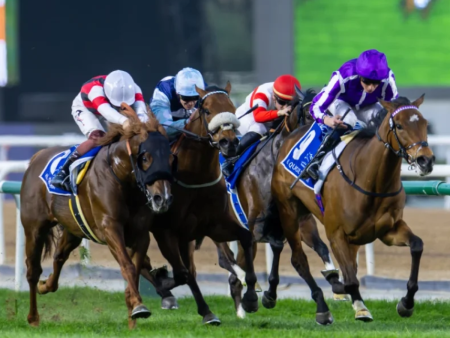 All Eyes On Meydan For Dubai World Cup Weekend Dubai World Cup