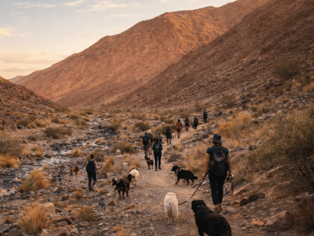 Dubai Weekend Plans Just Narrowed To This April Wadi Bih Hike Wadi Bih Hike