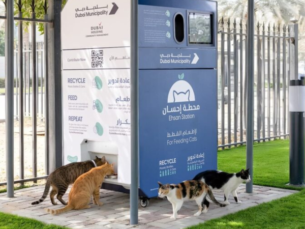 Stray Cats Just Scored Dubai AI Food Machines Stray Cats