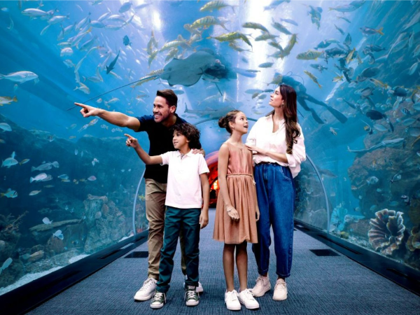 Dubai Plans Just Got Better With These Must Try Spots Dubai Plans